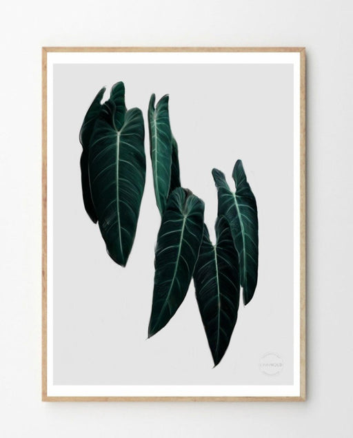 Philodendron Print